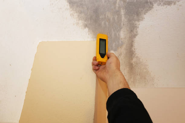 Mold Documentation for Insurance Claims in Danville, PA