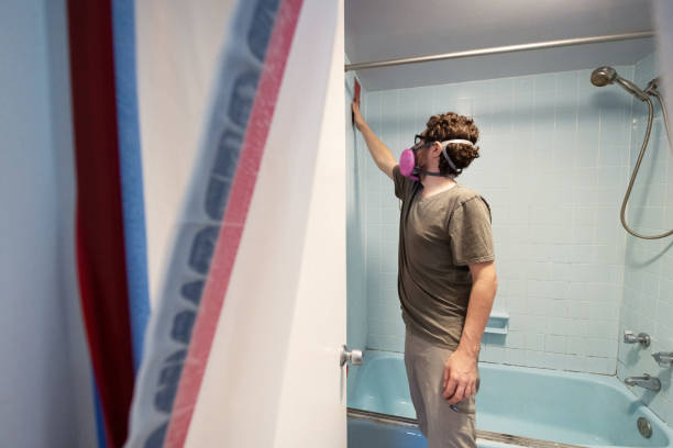 Professional Mold Removal in Danville, PA