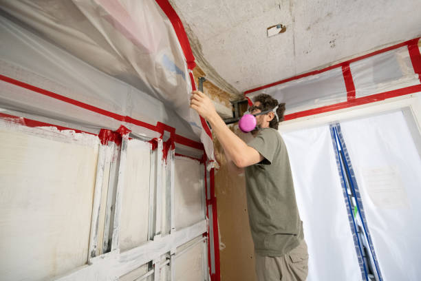 Best Attic Mold Removal  in Danville, PA